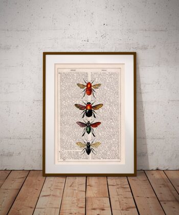 Abeilles et Bourdons Art Print - Blanc 8x10 1