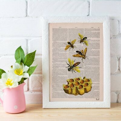 Bees and honey Nature wall art - Book Page M 6.4x9.6 (No Hanger)