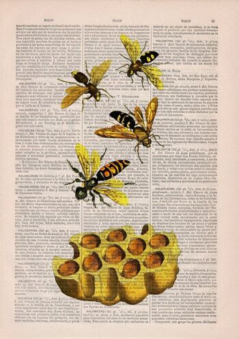 Abeilles et miel Art mural Nature - A4 Blanc 8.2x11.6 (Sans cintre) 3