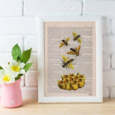 Bees and honey Nature wall art - A5 White 5.8x8.2 (No Hanger)