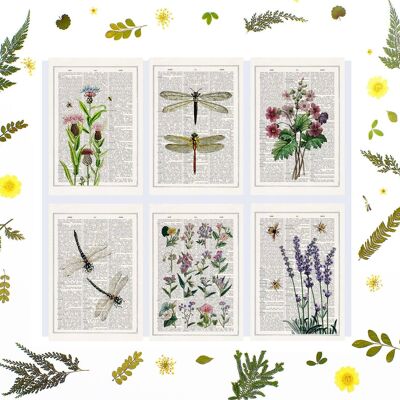 Cartoline di api e fiori lilla