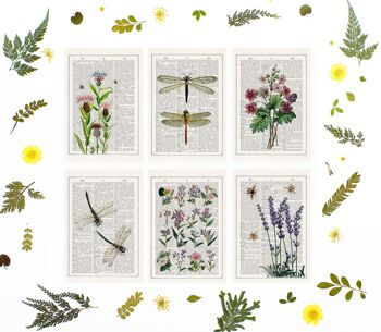 Abeilles et fleurs de lilas Cartes postales 3