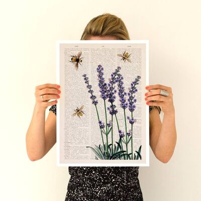 Bees Over Lavender Flowers Poster (No Hanger)