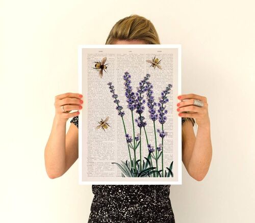 Bees Over Lavender Flowers Poster