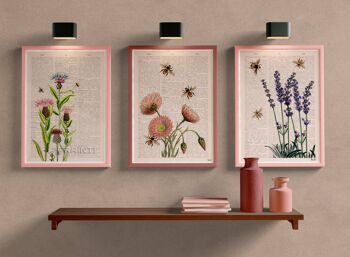 Abeilles sur des fleurs de lavande Poster 2