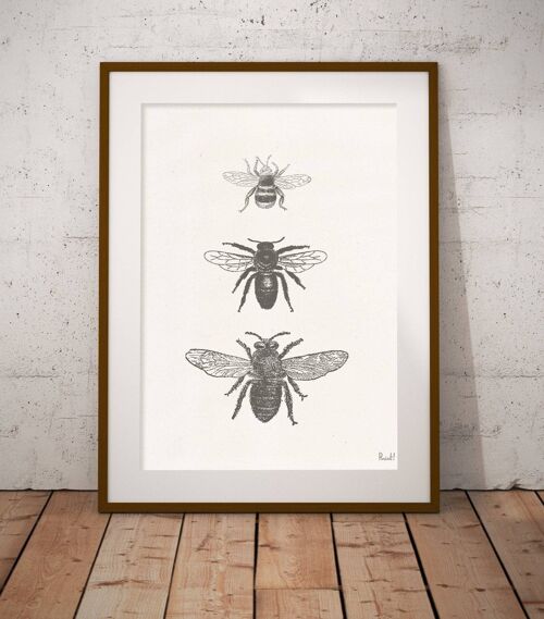 Bees types Print - A5 White 5.8x8.2