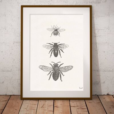 Types d'abeilles Print - A4 Blanc 8.2x11.6 (Sans Cintre)