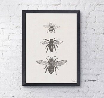 Types d'abeilles Print - A4 Blanc 8.2x11.6 (Sans Cintre) 3