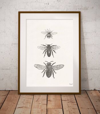 Impression de types d'abeilles - Blanc 8x10 (Sans cintre) 1