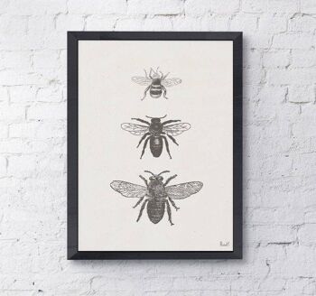 Impression de types d'abeilles - Blanc 8x10 (Sans cintre) 3