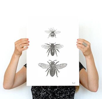 Types d'abeilles Print - A3 Blanc 11.7x16.5 (Sans Cintre) 4