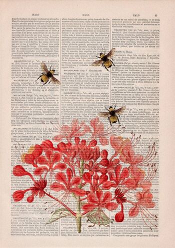 Abeilles aux fleurs de Géranium - Livre Page M 6.4x9.6 (Sans Cintre) 3
