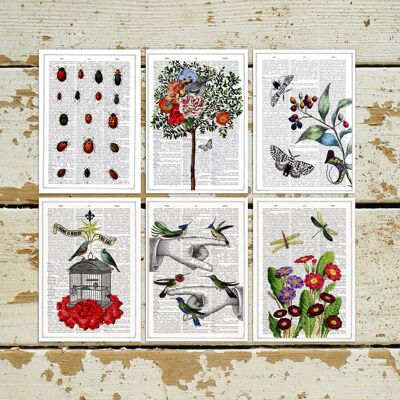 Cartoline di uccelli e fiori