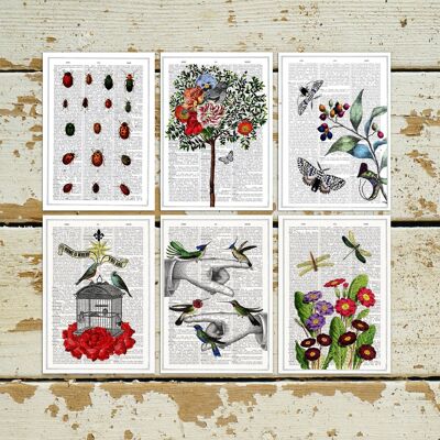 Birds and  flowers Postcards