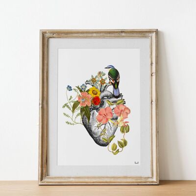 Oiseau Bleu sur Coeur Anatomique - Affiche A3 11.7x16.5 (Sans Cintre)