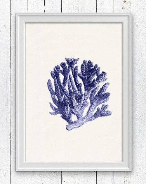 Blue coral n.06 - A3 White 11.7x16.5 (No Hanger)