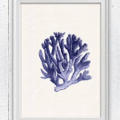 Blue coral n.06 - A3 White 11.7x16.5 (No Hanger)