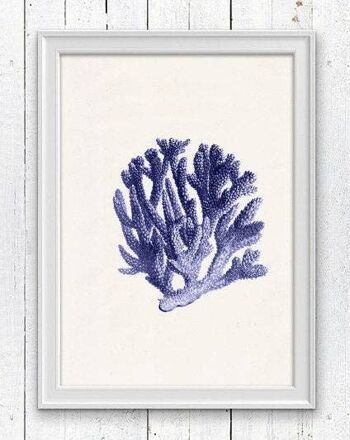 Bleu corail n.06 - A3 Blanc 11,7x16,5 1