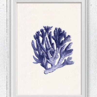 Blaue Koralle Nr. 06 - A4 Weiß 8,2 x 11,6 (ohne Aufhänger)