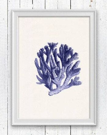 Bleu corail n.06 - A4 Blanc 8.2x11.6 (Sans Cintre) 1