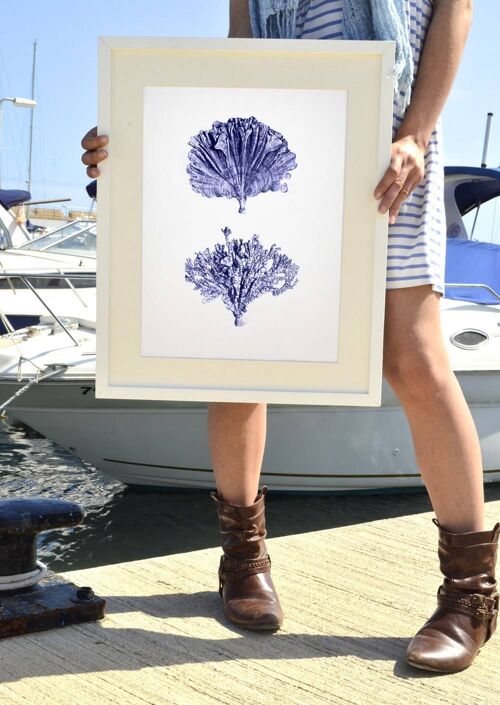 Blue corals Antique sealife Illustration - A4 White 8.2x11.6 (No Hanger)