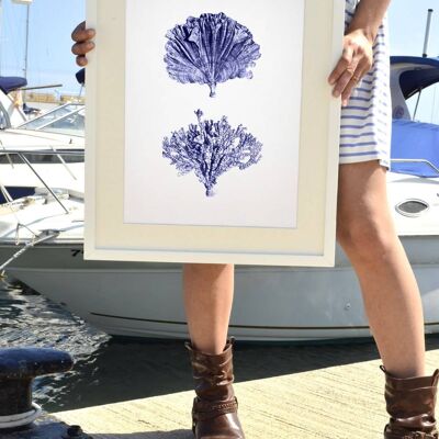 Coraux bleus Illustration de la vie marine antique - A4 Blanc 8,2 x 11,6 (sans cintre)