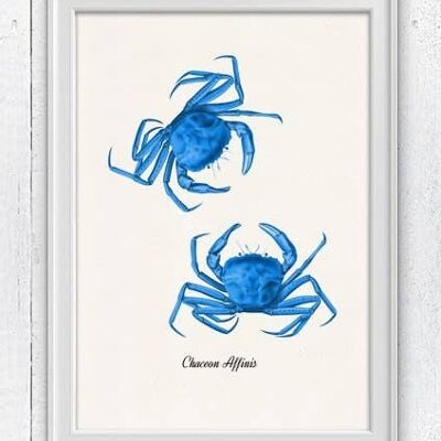 Blue Crabs Sea Life Print – A3 Weiß 11,7 x 16,5