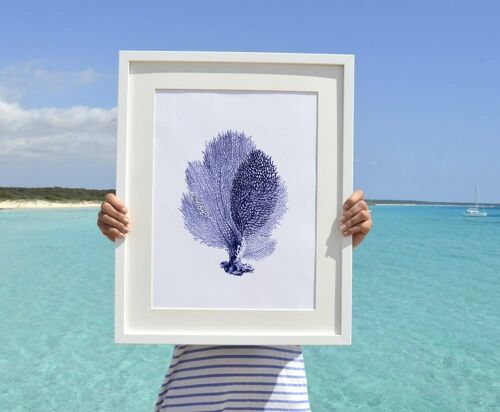 Blue Fan coral Antique sealife Illustration - A3 White 11.7x16.5 (No Hanger)