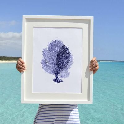 Blue Fan coral Illustrazione di vita marina antica - A3 bianco 11,7x16,5 (senza gancio)