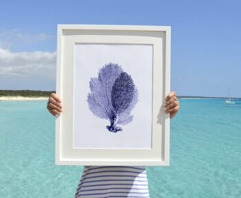 Blue Fan coral Antique sealife Illustration - A4 Blanc 8.2x11.6 1