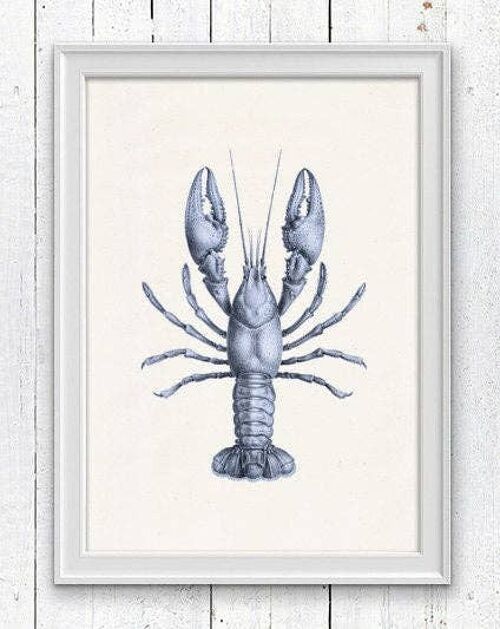 Blue Lobster sea life print - A3 White 11.7x16.5 (No Hanger)