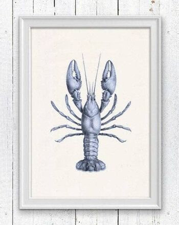 Impression de la vie marine de homard bleu - A3 blanc 11,7 x 16,5 (sans cintre) 1