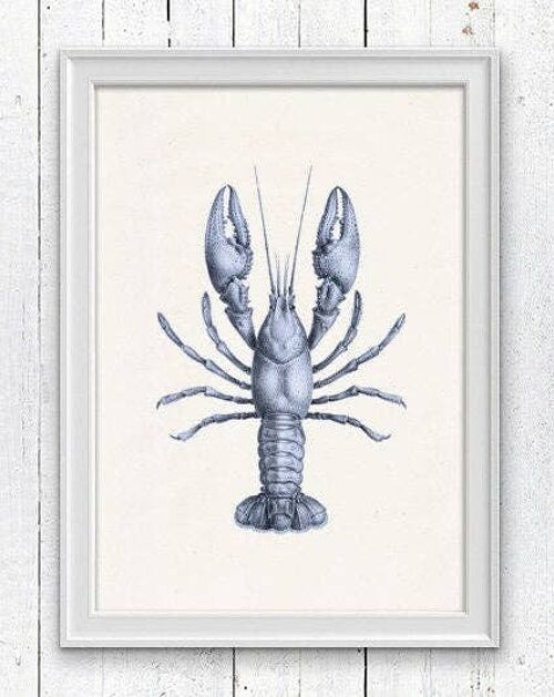 Blue Lobster sea life print - A3 White 11.7x16.5