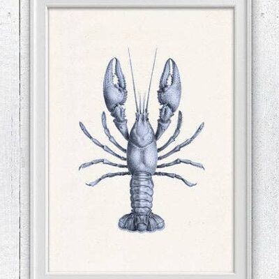 Blue Lobster sea life print - A3 White 11.7x16.5