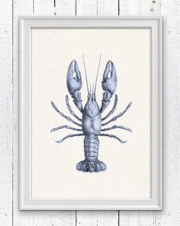 Affiche vie marine homard bleu - A3 Blanc 11.7x16.5 1