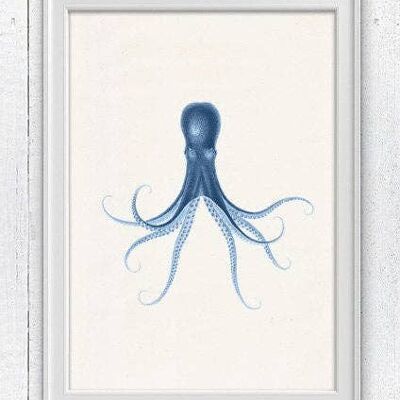 Blue octopus nº29  sea life art - A3 White 11.7x16.5