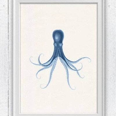 Blue octopus nº29  sea life art - White 8x10 (No Hanger)