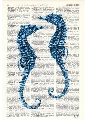 Couple d'hippocampes bleus - Livre Page L 8.1x12 2