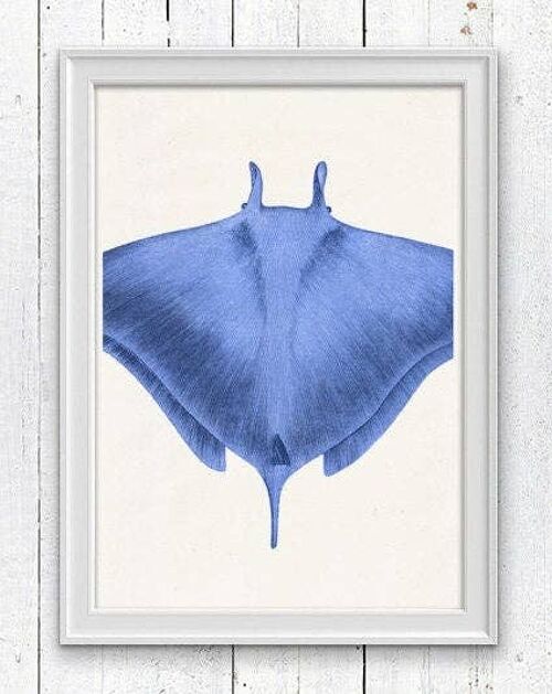 Blue stingray sea life print - A3 White 11.7x16.5 (No Hanger)