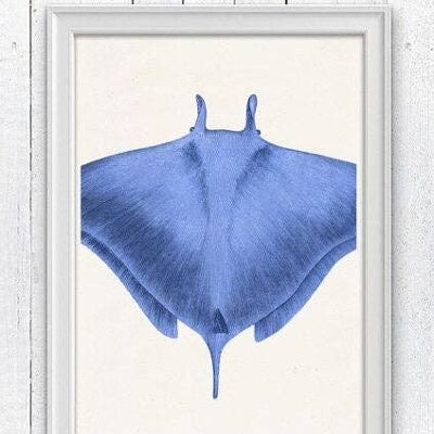 Blue stingray sea life print - A4 White 8.2x11.6 (No Hanger)