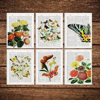 Cartoline di farfalle e fiori
