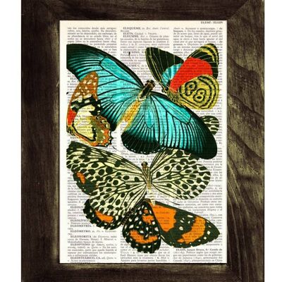 Stampa collage d'arte farfalle - A4 bianco 8,2 x 11,6 (senza gancio)