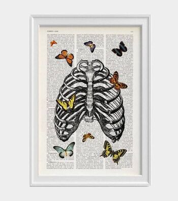 Papillons en cage thoracique - Livre Page M 6.4x9.6 (No Hanger) 4