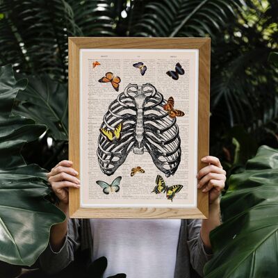 Butterflies in rib cage - A3 White 11.7x16.5 (No Hanger)