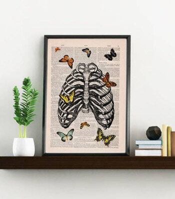 Papillons en cage thoracique - Blanc 8x10 (Sans Cintre) 3