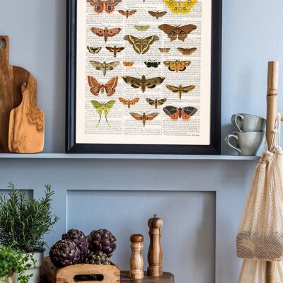 Farfalla Moth Nature Wall Art - Pagina del libro M 6,4 x 9,6 (senza gancio)
