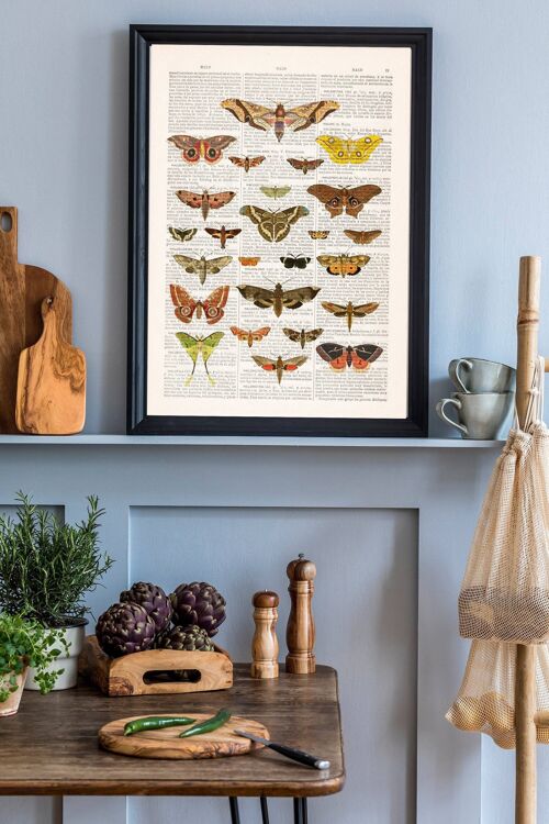 Butterfly Moth Nature Wall Art - A3 White 11.7x16.5 (No Hanger)