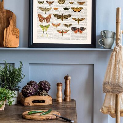Butterfly Moth Nature Wall Art - A3 White 11.7x16.5 (No Hanger)
