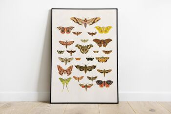 Art mural papillon papillon nature - A3 blanc 11,7 x 16,5 (sans cintre) 3