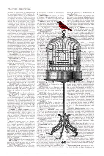 Cage et un Moineau libre - Livre Page M 6.4x9.6 2